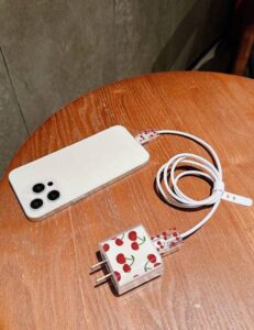 Protector de ficha y cable